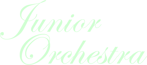 Junior Orchestra
